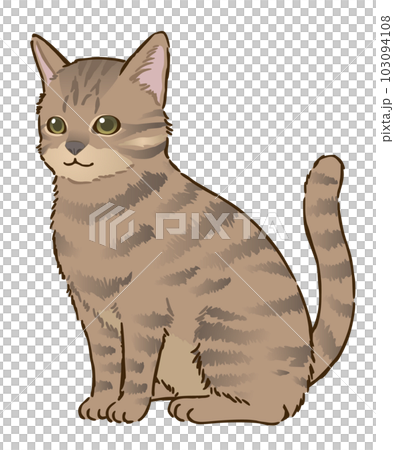 坐貓（kijitora，短毛） 103094108