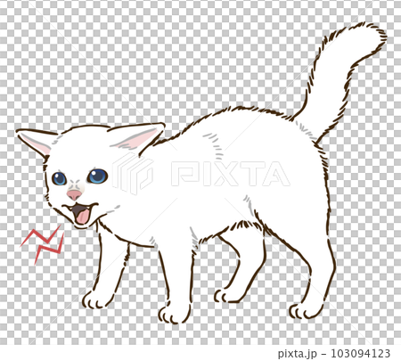 憤怒的白貓(短毛) 憤怒的白貓(短毛) 103094123