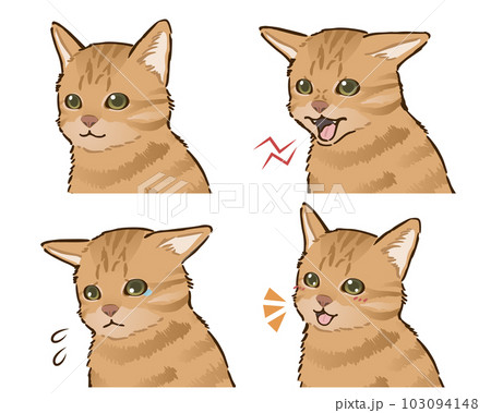 猫の喜怒哀楽セット（茶トラ、短毛） 103094148