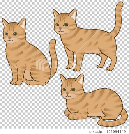 色々な姿勢の猫（茶トラ、短毛）のイラスト素材 [103094149] - PIXTA