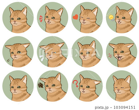 猫の表情アイコンセット（茶トラ、短毛） 103094151