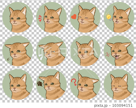 猫の表情アイコンセット（茶トラ、短毛） 103094151