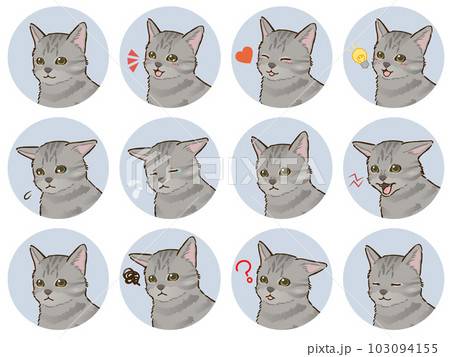 猫の表情アイコンセット（サバトラ、短毛） 103094155