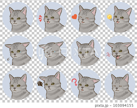 猫の表情アイコンセット（サバトラ、短毛） 103094155