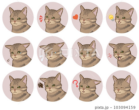 猫の表情アイコンセット(キジトラ、短毛) 猫の表情アイコンセット(キジトラ、短毛) 103094159
