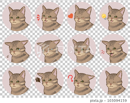 猫の表情アイコンセット(キジトラ、短毛) 猫の表情アイコンセット(キジトラ、短毛) 103094159