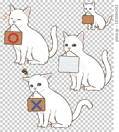 White cat holding a signboard (short hair) White cat holding a signboard (short hair) 103094162