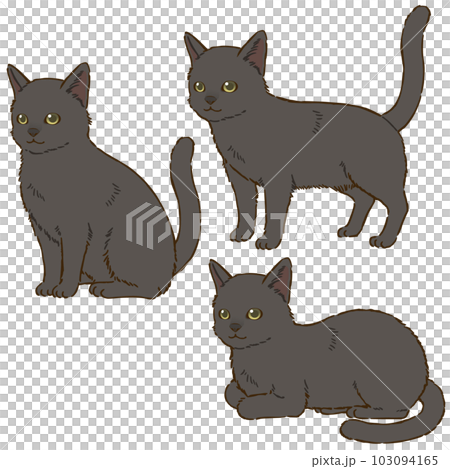 色々な姿勢の黒猫（短毛） 103094165