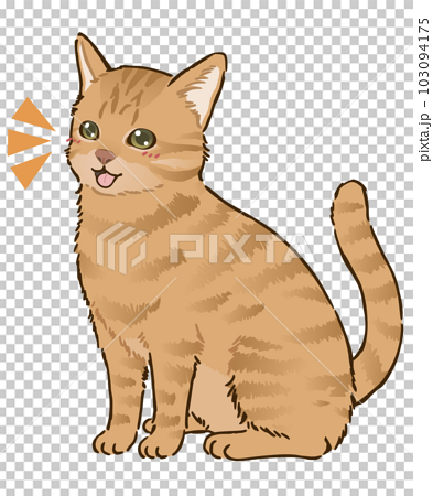 喜ぶ猫（茶トラ、短毛）のイラスト素材 [103094175] - PIXTA
