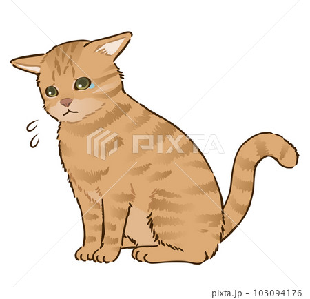 悲しむ猫（茶トラ、短毛） 103094176