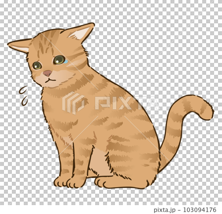 悲しむ猫（茶トラ、短毛） 103094176