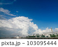 青い空白い雲 103095444