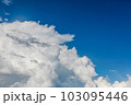 青い空白い雲 103095446