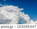 青い空白い雲 103095447