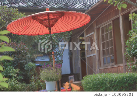 traditional red umbrella in garden for green tea ceremony 103095501