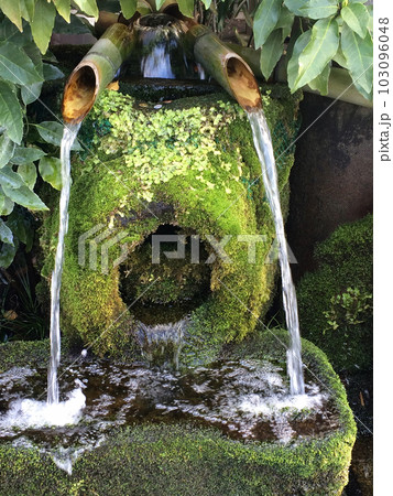 阿蘇神社門前通りの湧水 阿蘇神社門前通りの湧水 103096048