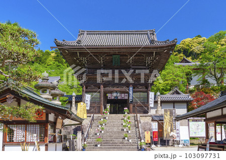 長谷寺　仁王門　牡丹の花　新緑の季節（奈良県桜井市初瀬） 103097731