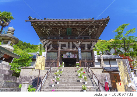 長谷寺　仁王門　牡丹の花　新緑の季節（奈良県桜井市初瀬） 103097732