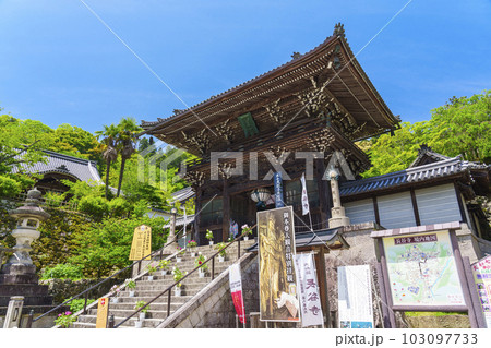 長谷寺　仁王門　牡丹の花　新緑の季節（奈良県桜井市初瀬） 103097733