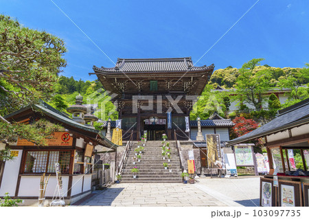 長谷寺 仁王門 牡丹の花 新緑の季節(奈良県桜井市初瀬) 長谷寺 仁王門 牡丹の花 新緑の季節(奈良県桜井市初瀬) 103097735
