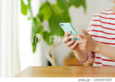 携帯電話を操作する女性の手元写真 携帯電話を操作する女性の手元写真 103097805