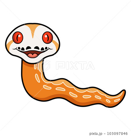 Cute albino sunfire tiger het genetic stripe reticulated python 103097846