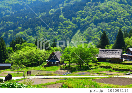 五箇山 相倉集落 五箇山 相倉集落 103098115
