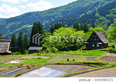 五箇山　相倉集落 103098325