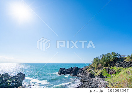 三崎公園　観音崎 103098347