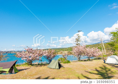 三崎公園キャンプ場 小砂川海岸 三崎公園キャンプ場 小砂川海岸 103098351