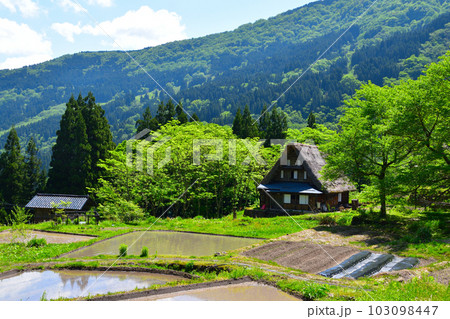 五箇山　相倉集落 103098447