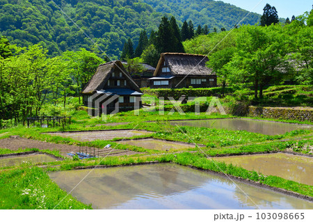 五箇山 相倉集落 五箇山 相倉集落 103098665