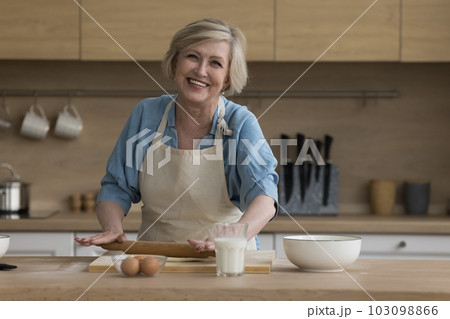 Happy elderly woman preparing pastries in the kitchen 103098866