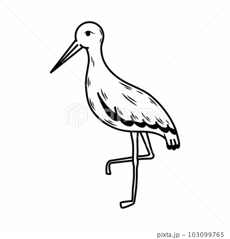 Doodle style stork. Bird on white background. 103099765
