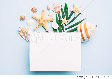 Summer time concept with blank greeting card and blank white paper on colored background. Seashells from ocean shore in the shape of frame separated with space for text top view 103100383