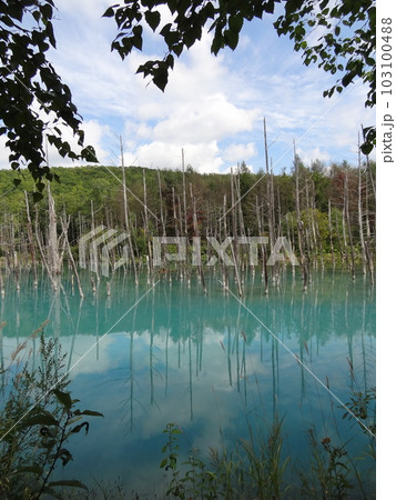 青い池（北海道　美瑛） 103100488