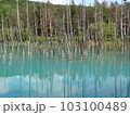 青い池（北海道　美瑛） 103100489