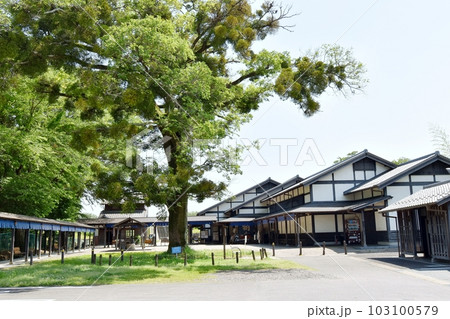 太田宿中山道会館 103100579