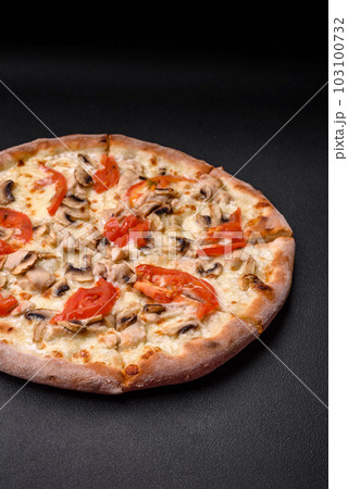 Delicious pizza with chicken, tomatoes and cheese with salt and sauce 103100732