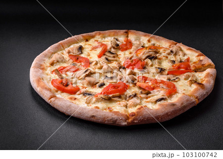 Delicious pizza with chicken, tomatoes and cheese with salt and sauce 103100742