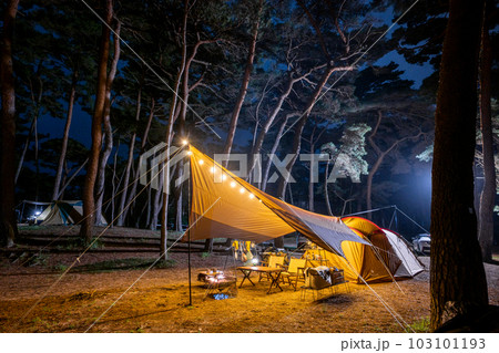 森林サイトでキャンプ イメージ 森林サイトでキャンプ イメージ 103101193