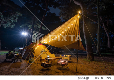 森林サイトでキャンプ　イメージ 103101199