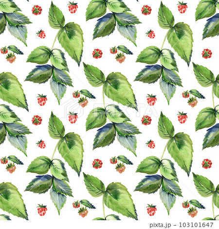 Vintage seamless wallpaper with retro image of elegant raspberry with leaves 103101647