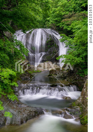 雨上がりの関山大滝 103101653