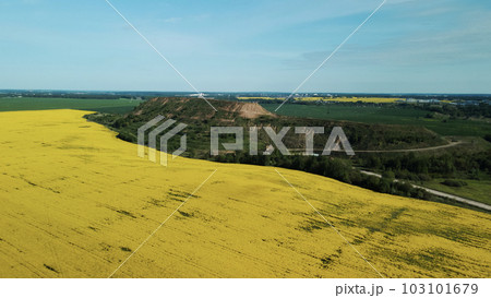 A field of blooming yellow rapeseed. At the edge of the field is a mothballed city dump. Aerial photography. 103101679