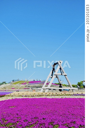 茶臼山高原の景色が素晴らしい芝桜まつり 茶臼山高原の景色が素晴らしい芝桜まつり 103101853