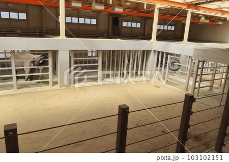 【山口県】周南市徳山動物園のゾウ舎 103102151