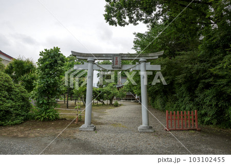 茨城県龍ケ崎市にある女化神社の鳥居 茨城県龍ケ崎市にある女化神社の鳥居 103102455