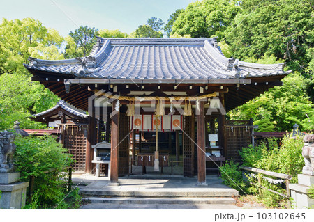 新熊野神社(京都市東山区) 新熊野神社(京都市東山区) 103102645