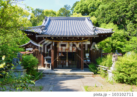 新熊野神社(京都市東山区) 新熊野神社(京都市東山区) 103102711